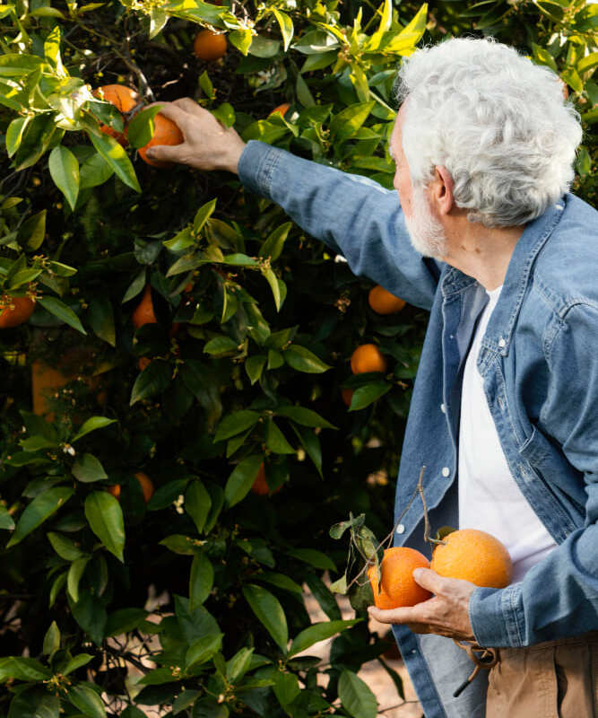 Fruta producto trazabilidad