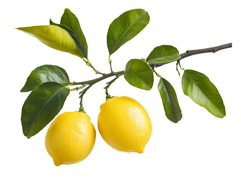 rendimiento limón suelo agronómico